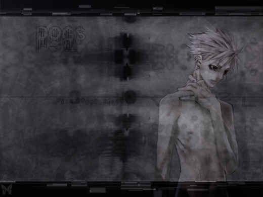 203231 (a): :1024x768